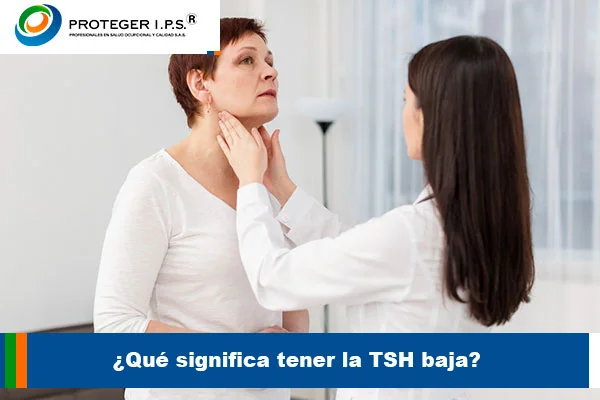 tsh baja
