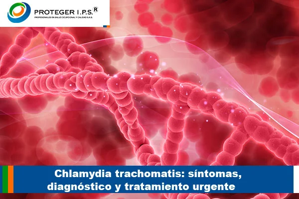 Chlamydia trachomatis