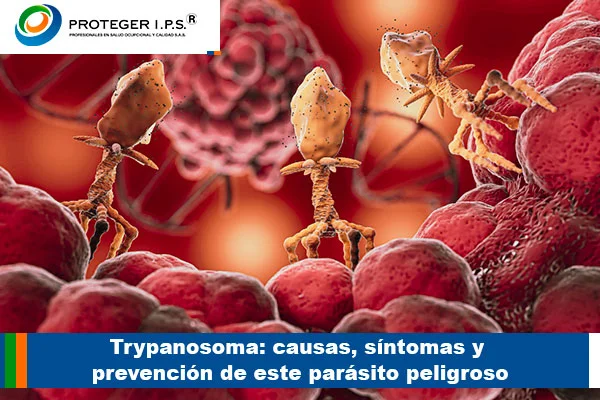 Trypanosoma