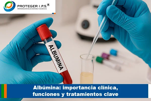 albumina