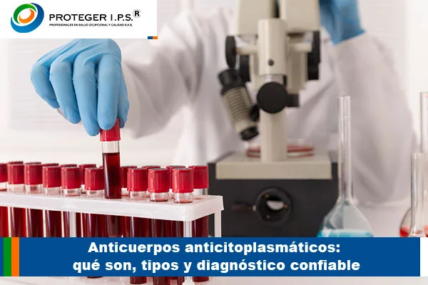 anticuerpos anticitoplasmaticos