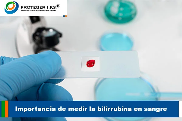 bilirrubina en sangre