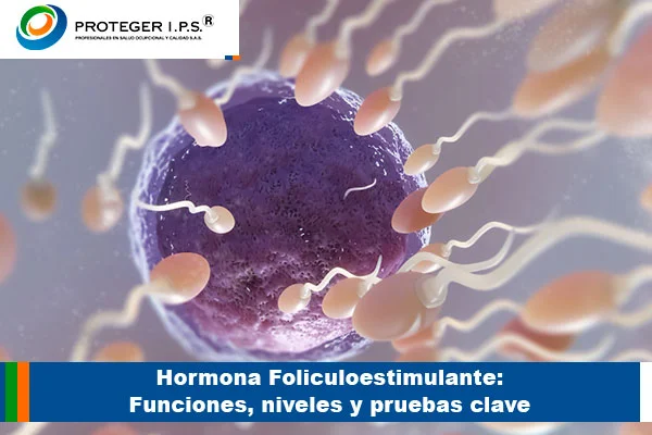 hormona foliculoestimulante