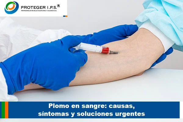 plomo en sangre
