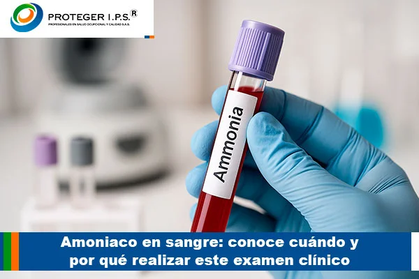 Amoniaco en sangre