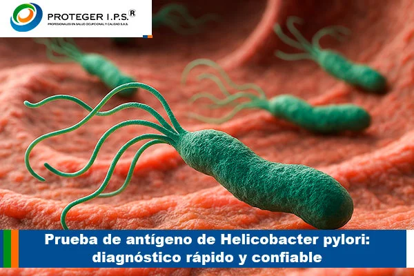 Antigeno de Helicobacter Pylori