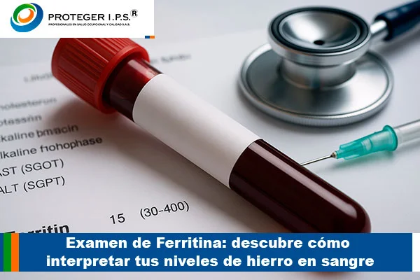 Examen de Ferretina