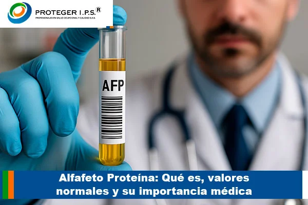 alfafeto proteina