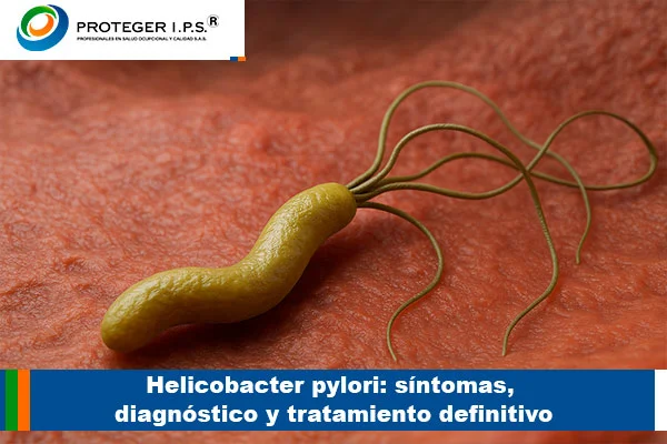 helicobacter pylori