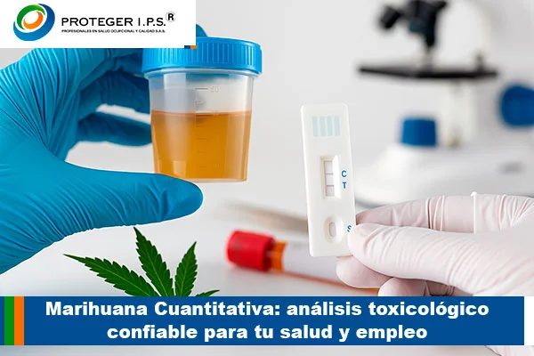 marihuana cuantitativa
