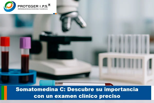 somatomedina-c
