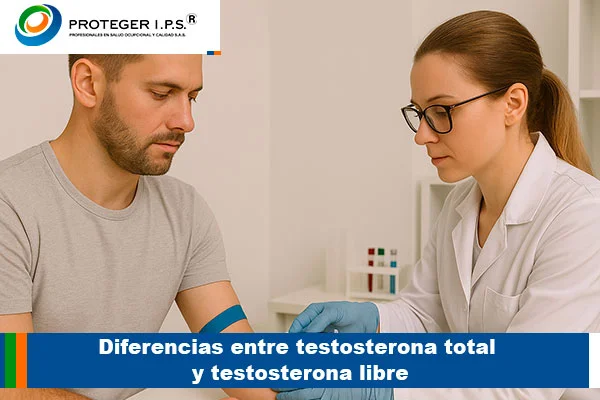 testosterona libre y total