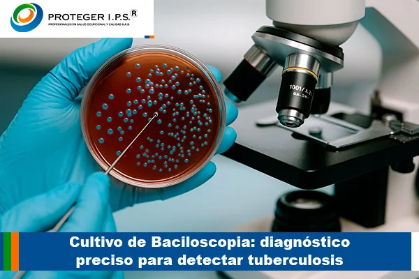 Cultivo de Baciloscopia