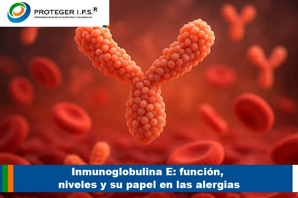 Inmunoglobulina E