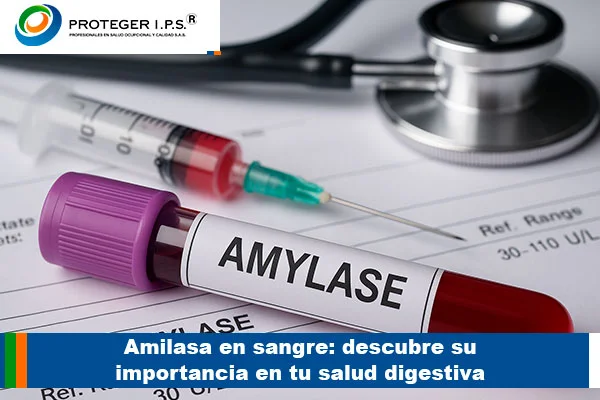 amilasa en sangre