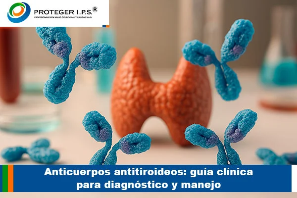 anticuerpos antitiroides