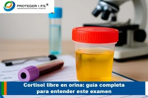 cortisol libre en oriina