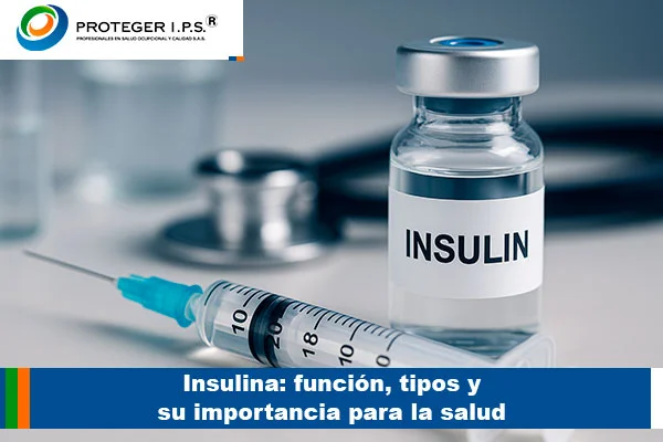 insulina