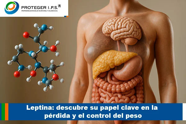 leptina