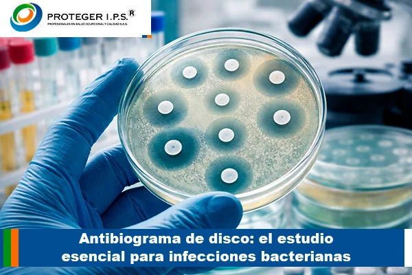 antibiograma de disco