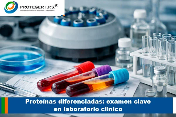 proteinas difernciadas