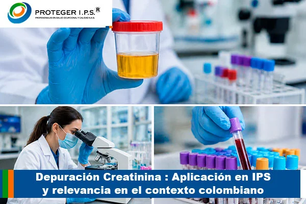 depuracion creatinina