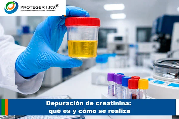 depuracion creatinina