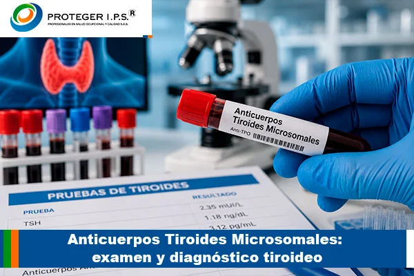Anticuerpos Tiroides Microsomales