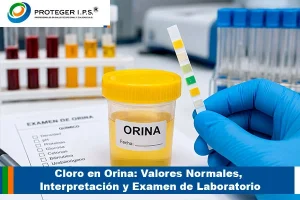 Profesional de laboratorio analizando muestra para examen de cloro en orina