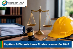 disposiciones finales resolución 1843