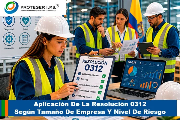 Resolución 0312