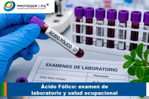 ácido fólico