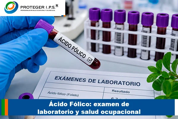 ácido fólico