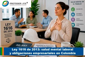 ley 1616
