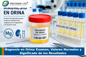 magnesio en orina