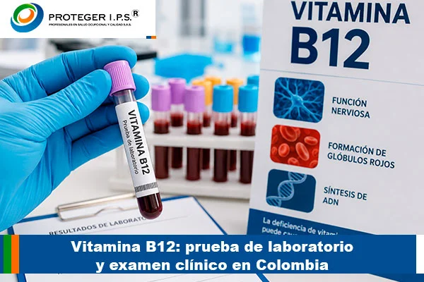 vitamina b12