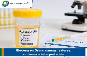glucosa en orina