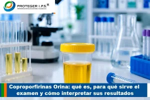 Coproporfirinas Orina