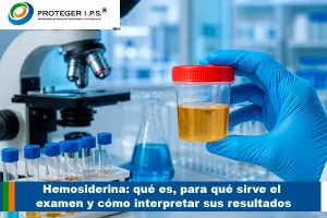 hemosiderina