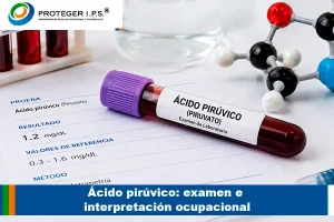 acido piruvico