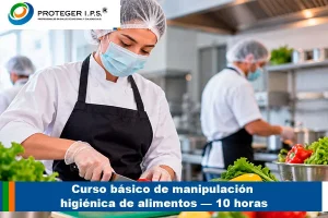 Curso básico de manipulación higiénica de alimentos — 10 horas
