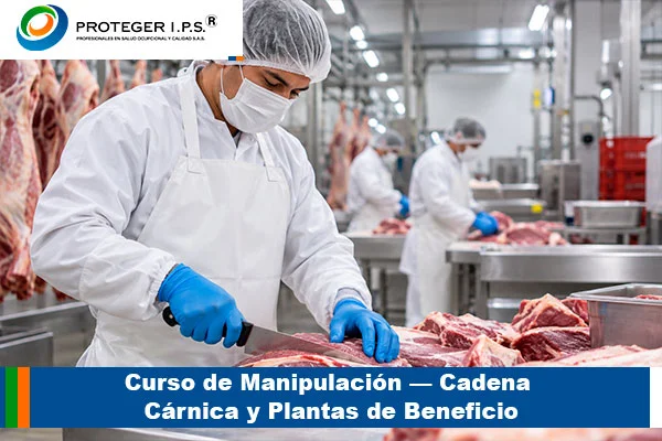 Curso de manipulación — cadena cárnica y plantas de beneficio