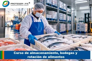 Curso de almacenamiento, bodegas y rotación de alimentos