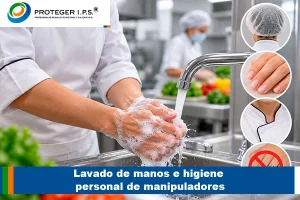Lavado de manos e higiene personal de manipuladores