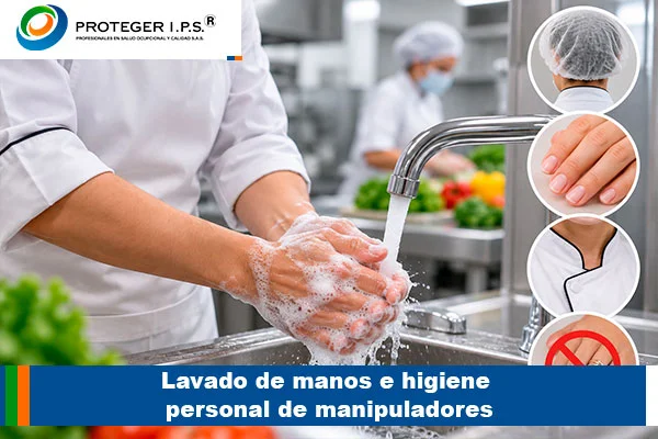 Lavado de manos e higiene personal de manipuladores