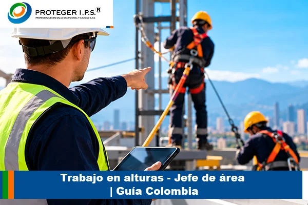 Trabajo en alturas - Jefe de área | Guía Colombia